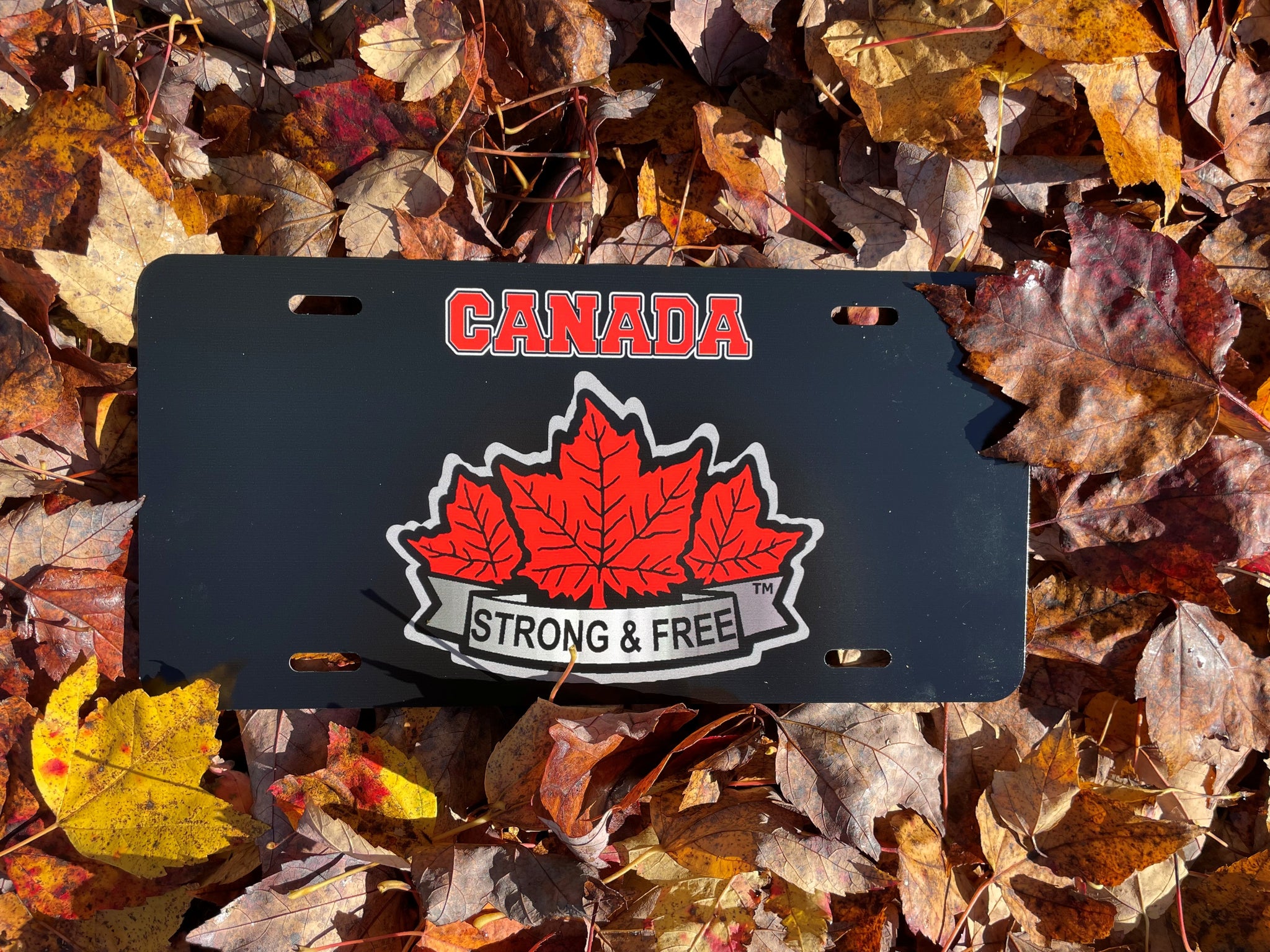 Black Strong and Free License Plate